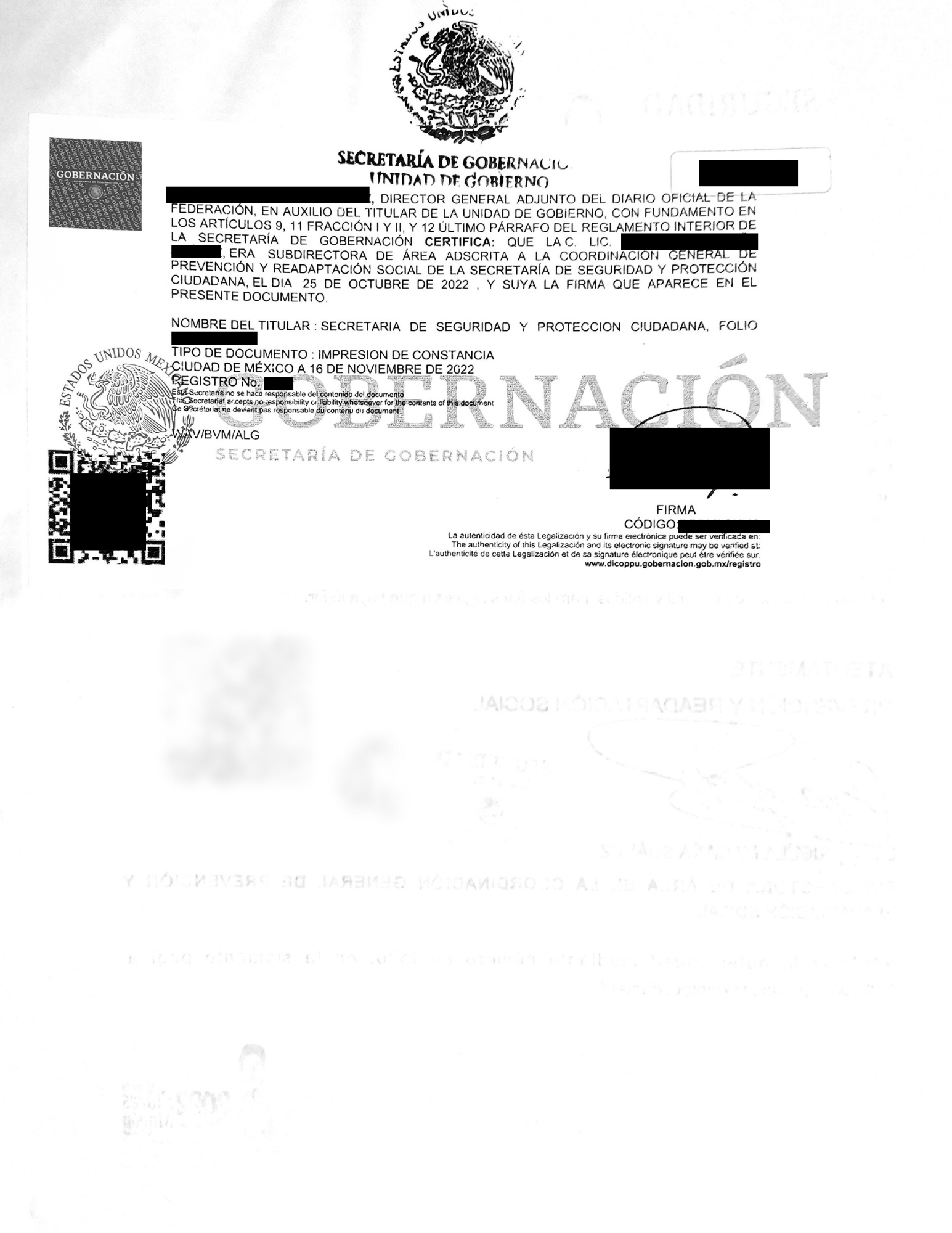 Antecedentes no penales - Imagen 3